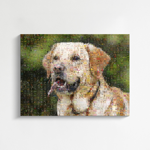 Créez un portrait mosaïque chien personnalisé